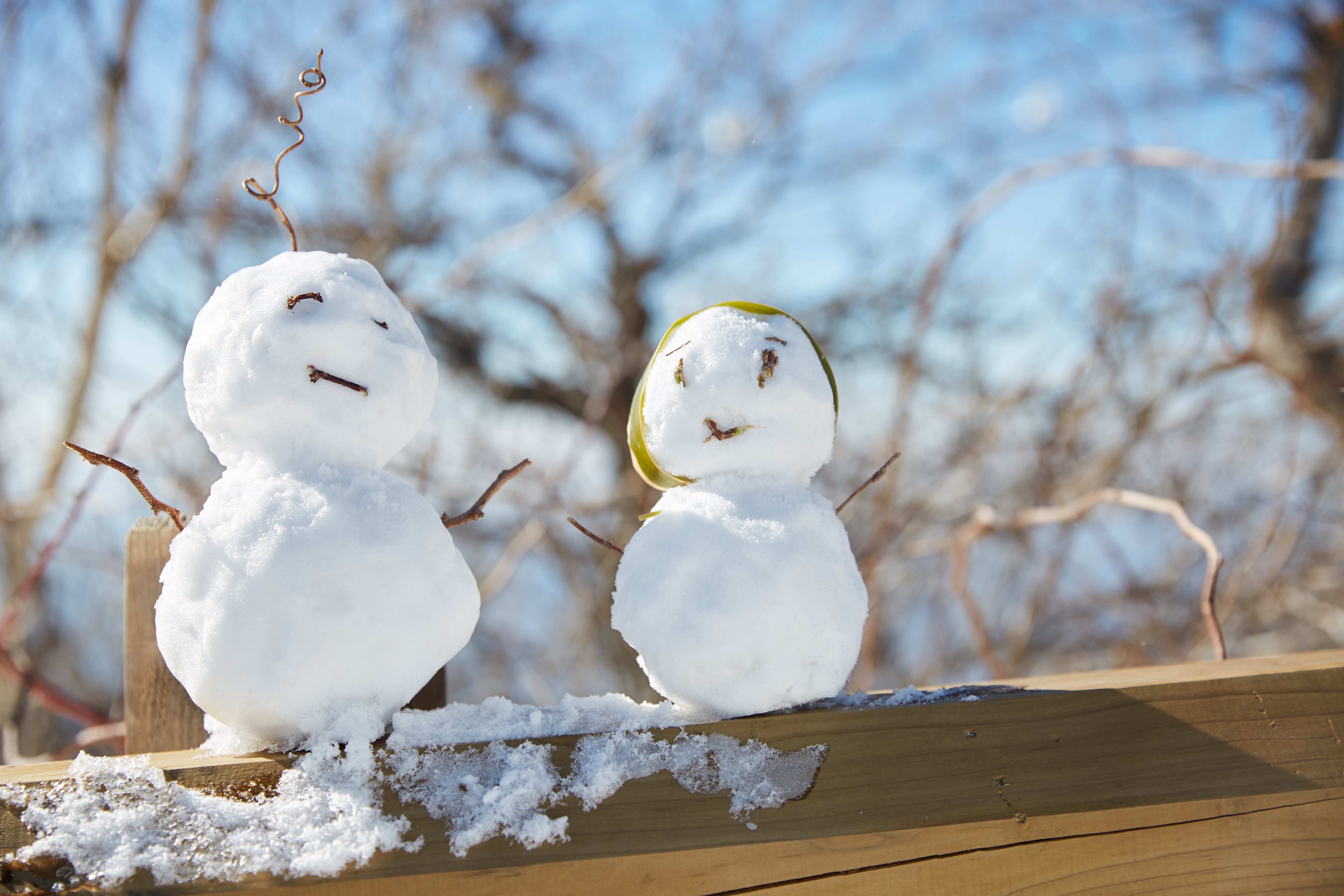 冬至，暖“杨”相伴 | 九游会俱乐部人全力配合各墓园冬至落葬