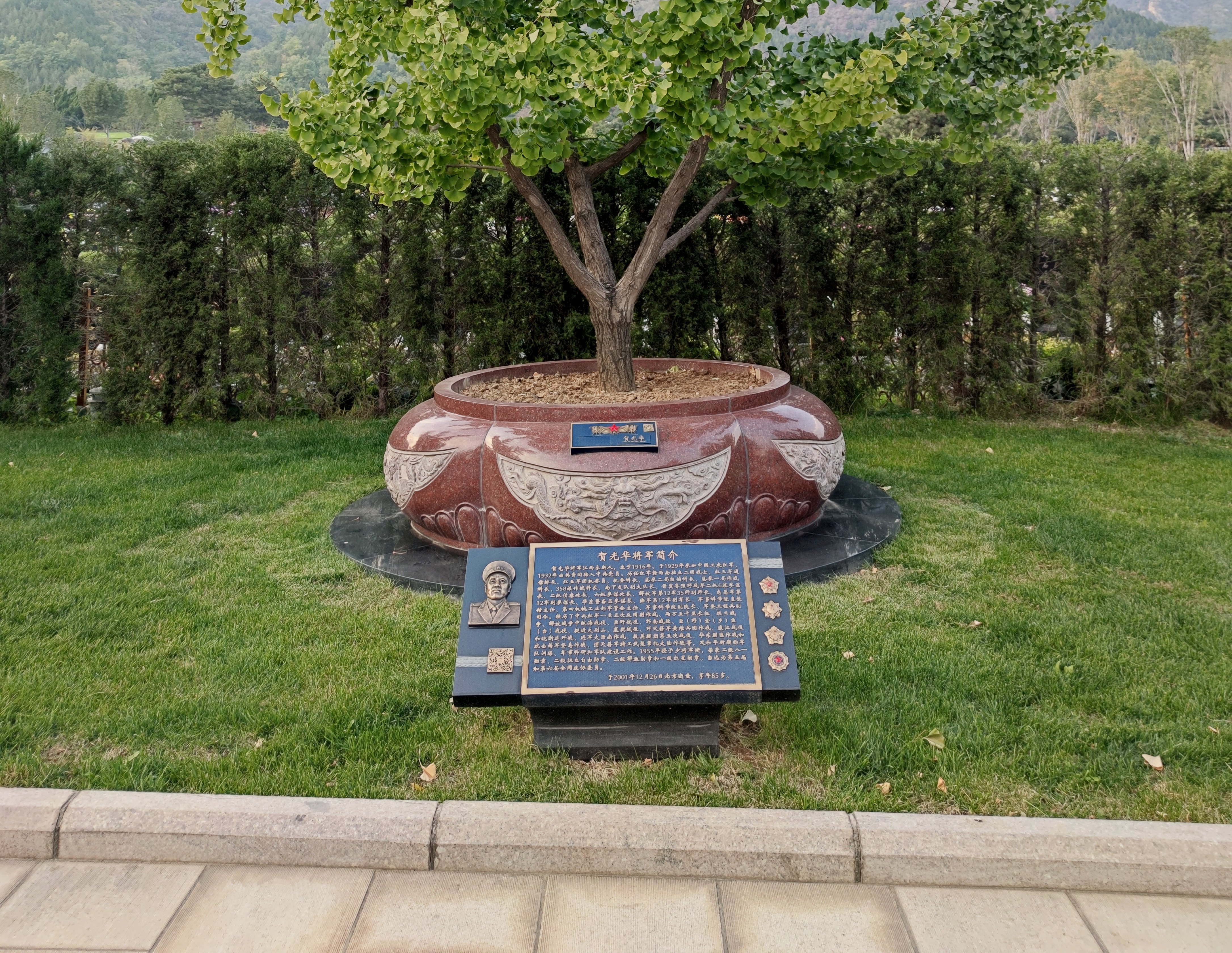 贺光华将军安息之地：九龙坛树葬