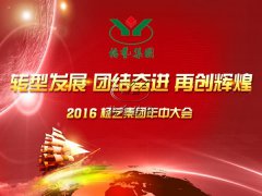 【2016年九游会俱乐部年中会正在召开中~】全员充电培训