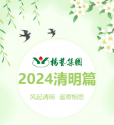 风起清明 遥寄相思|九游会俱乐部集团?2024清明篇