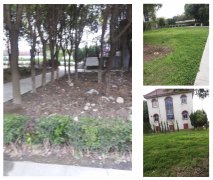 老墓园改造：城市中的绿色记忆与文化传承