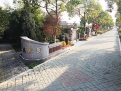 城市最后一平米：生态葬，是与自然的和解？还是无奈的选择？