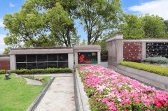 归于自然，泽被后世：解读现代生态葬及其创新趋势