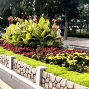 无机仿真石花箱：以永恒之名，塑未来之境