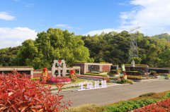 城市角落的星河：当墓园成为生命的另一种花园